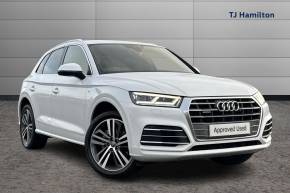 2019 Audi Q5 at TJ Hamilton Cookstown